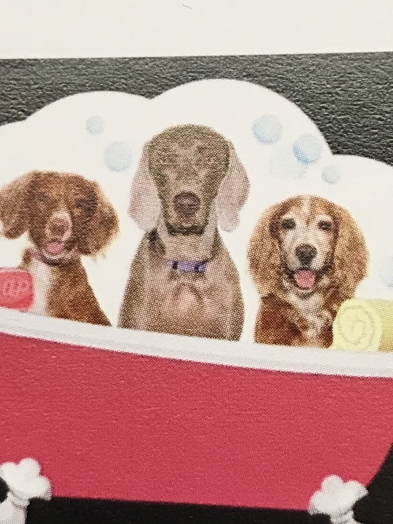 The painted wall mural at Yappies: a spaniel, a Weimaraner and a cocker spaniel sitting in a red claw-foot bathtub surrounded by bubbles